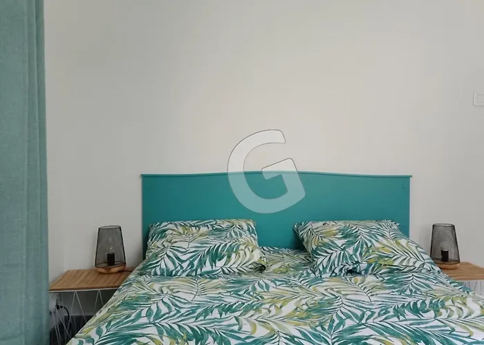 Maison De Pour 8 Pers, 300m De La Plage, Parking, Sainte Anne - Fr-1-194-357